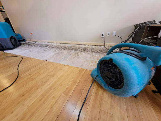 Professional Water Damage Repair technician working in Nixon, NV
